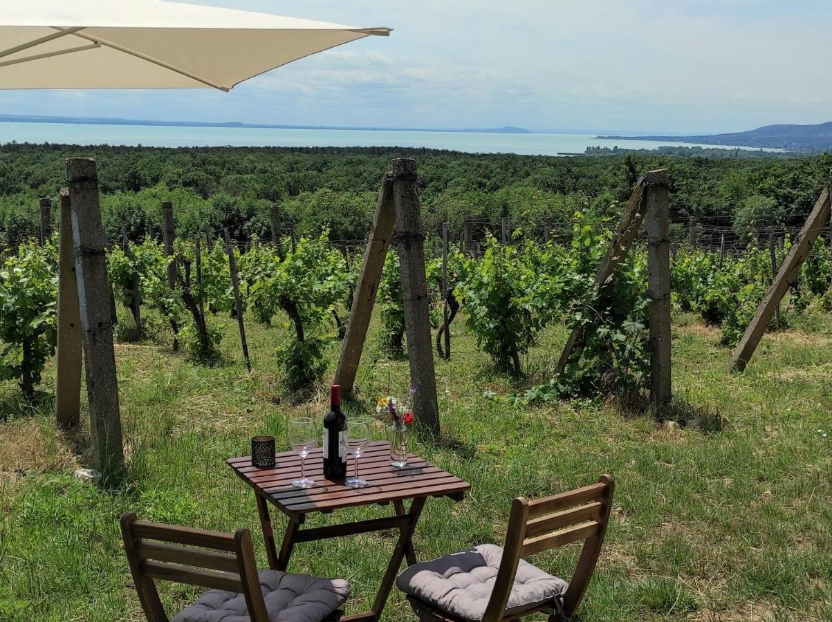 Napraszallas Vendeghaz Balatonakali Buitenkant foto