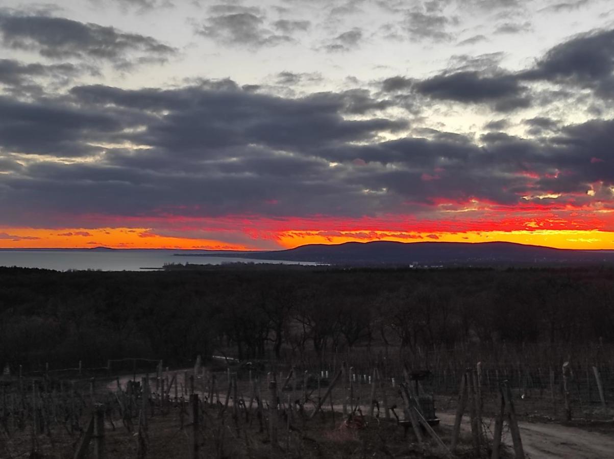 Napraszallas Vendeghaz Balatonakali Buitenkant foto