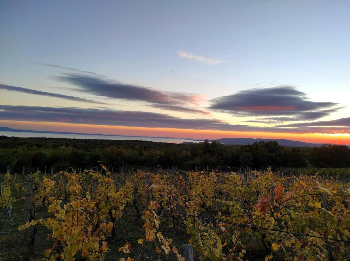 Napraszallas Vendeghaz Balatonakali Buitenkant foto