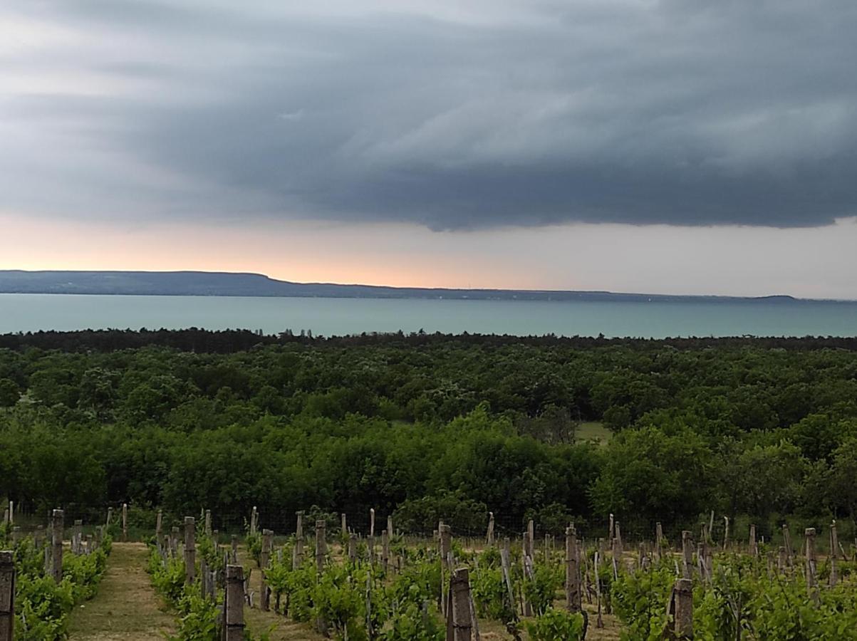 Napraszallas Vendeghaz Balatonakali Buitenkant foto