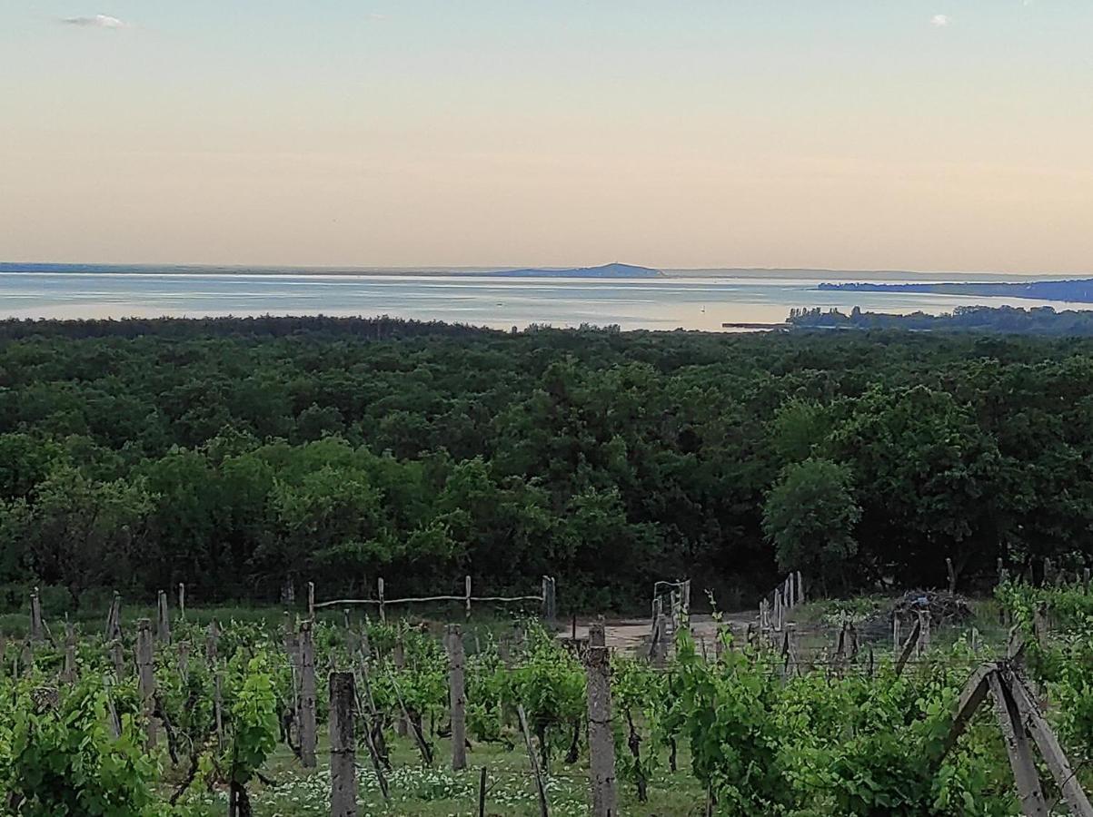Napraszallas Vendeghaz Balatonakali Buitenkant foto