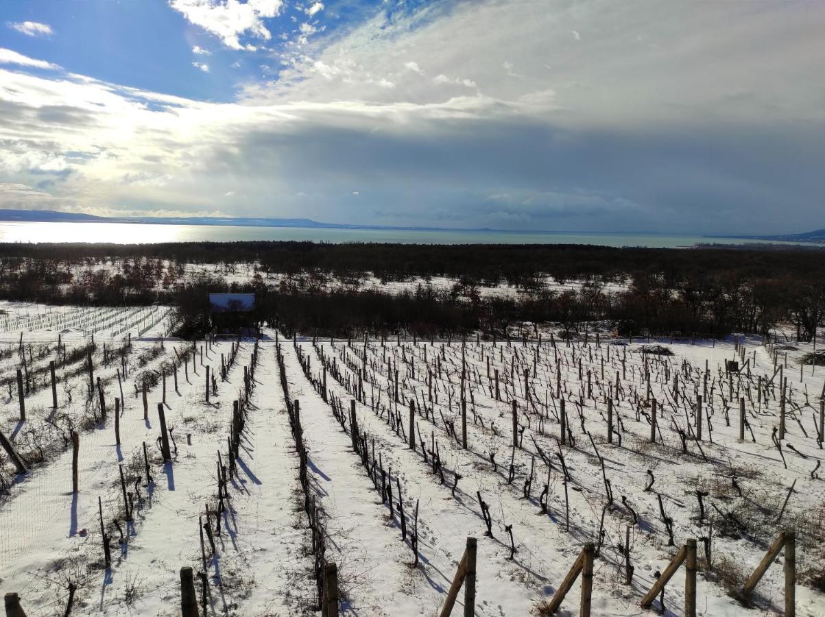 Napraszallas Vendeghaz Balatonakali Buitenkant foto