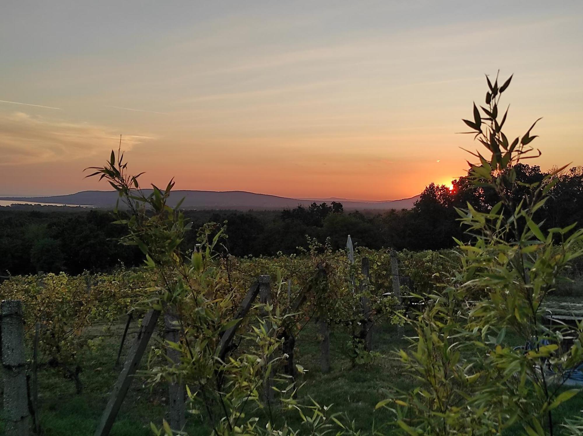 Napraszallas Vendeghaz Balatonakali Buitenkant foto