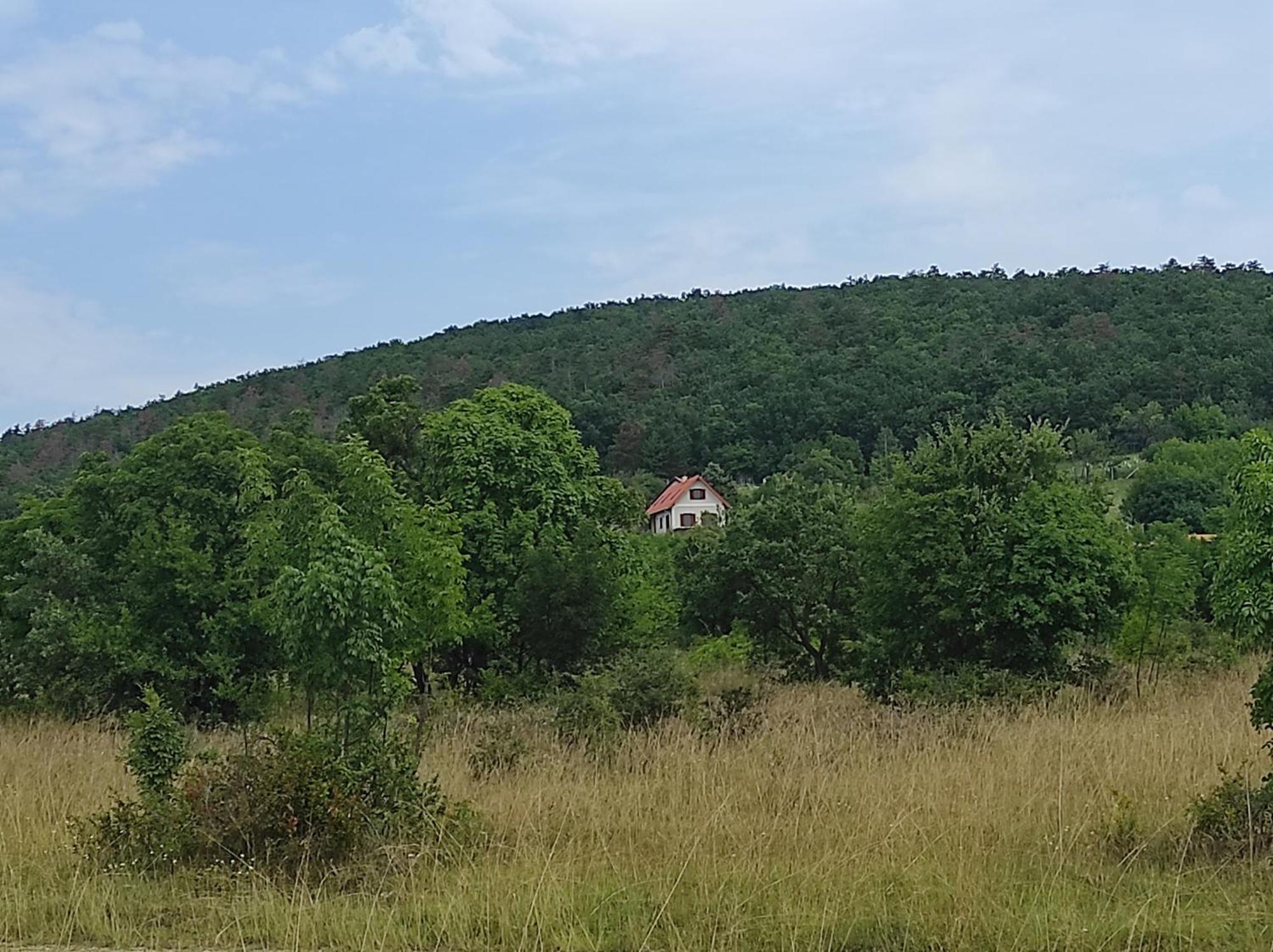 Napraszallas Vendeghaz Balatonakali Buitenkant foto