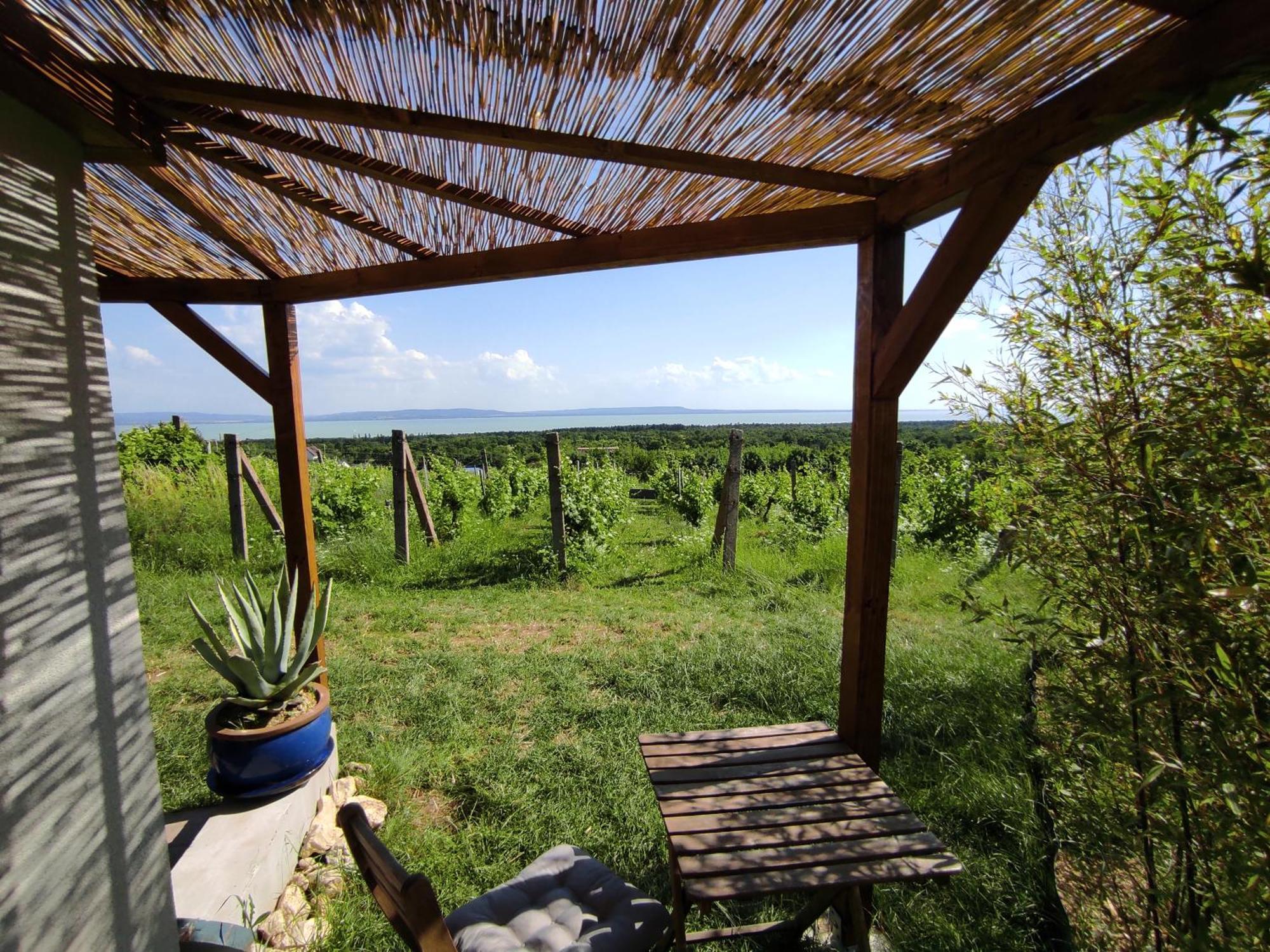Napraszallas Vendeghaz Balatonakali Buitenkant foto